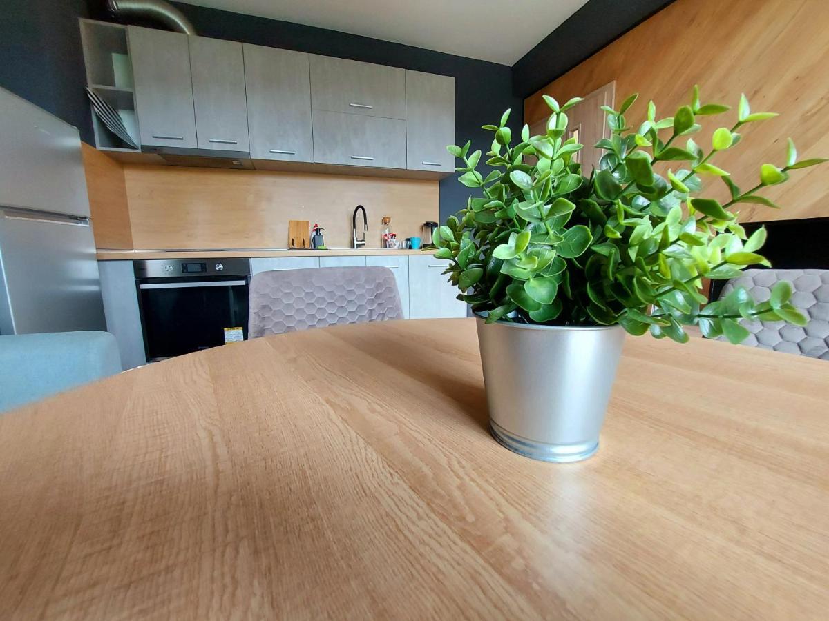 Grey Apartment Varna Dış mekan fotoğraf